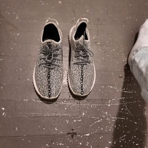 Turtledove yeezy 350
